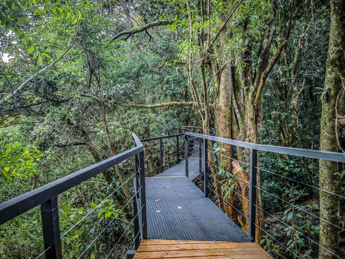 Cloud Forest Lodge By Boeena Monteverde ภายนอก รูปภาพ